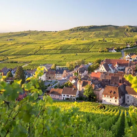 Cute House In Alsace Dom wakacyjny Munster (Haut-Rhin)