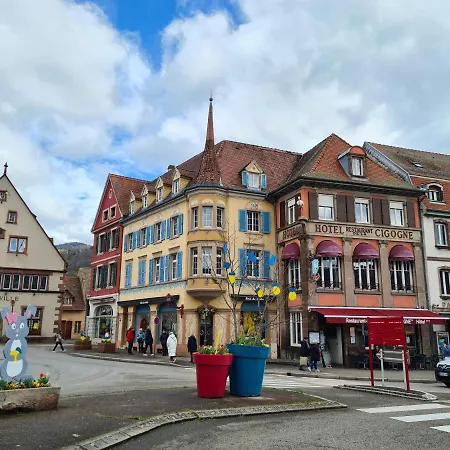 Cute House In Alsace * Munster (Haut-Rhin)